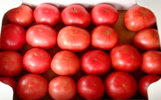【JA職員厳選】【完熟！】平林トマト 約4.0㎏  トマト 大容量 産地直送 桃太郎 ももたろう