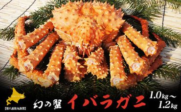 オホーツク産 幻の蟹 イバラガニ 1.0～1.2kg SRMN012