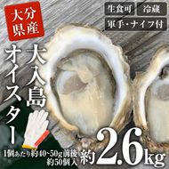 真ガキ 大入島オイスター (約2.6kg) 牡蠣 カキ 貝 海鮮 魚介類 冷蔵 生食可 シングルシード 養殖 大分県 佐伯市【ED09】【(合)新栄丸】