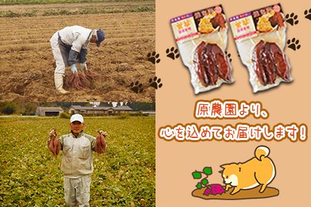 ＜国富金時 蜜芋（400g×2）合計800g＞翌月末迄に順次出荷【a0530_hr_x1】