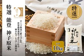 [A096] 【令和６年産】能登神子原米 １０kg（玄米）