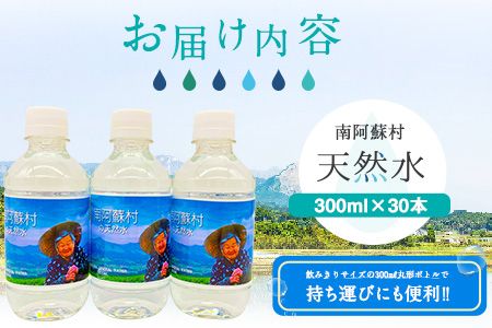 南阿蘇村 天然水 300mlボトル×30本（かなばあちゃんラベル）ハイコムウォーター 《30日以内に出荷予定(土日祝を除く)》 熊本県南阿蘇村 天然水---sms_hcmkbl_30d_r7_12500_30i---