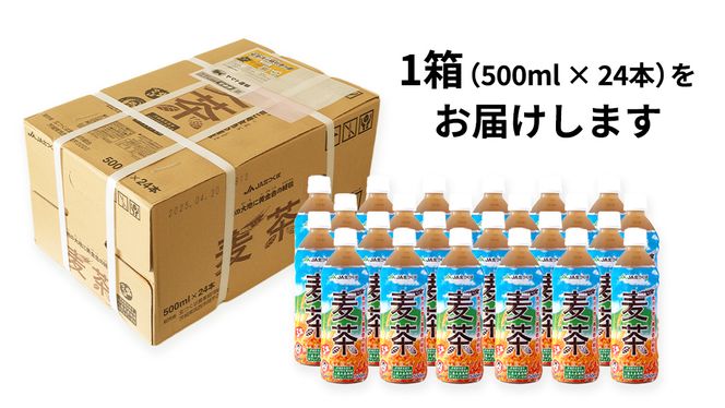 【 3ヶ月 定期便 】  JA北つくば JGAP認証 麦茶 1箱 ( 500ml × 24本 ) JGAP JA お茶 茶 ペットボトル 麦 大麦 二条大麦 ノンカフェイン カフェインゼロ [AE021ci]