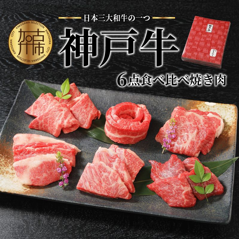 自社牧場直送神戸牛6点食べ比べ焼肉(600g)[2403A00104]