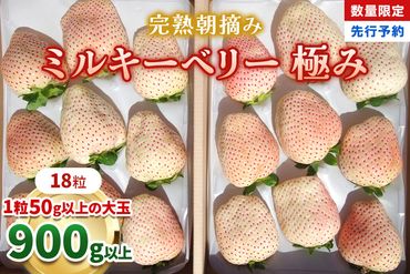 [数量限定] 完熟朝摘みミルキーベリー 極み 18粒《1月初旬～2月初旬に順次発送》｜いちご イチゴ 苺 フルーツ ミルキーベリー 果物 産地直送 栃木県産 [0574]