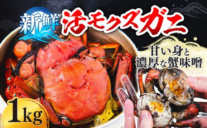 【先行予約】【2026年11月下旬以降順次発送】新鮮 活モクズガニ 1kg (5〜12杯前後) オス メス セット《築上町》【明青丸】 蟹 カニ カニ味噌[ABCB005]