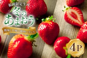 【期間限定発送】甘酸っぱい！酸味と甘味を楽しむ苺 福岡限定生産【冬】あまおう4パック [南国フルーツ 福岡県 筑紫野市 21760091] 苺 いちご イチゴ フルーツ 果物 くだもの 冷蔵