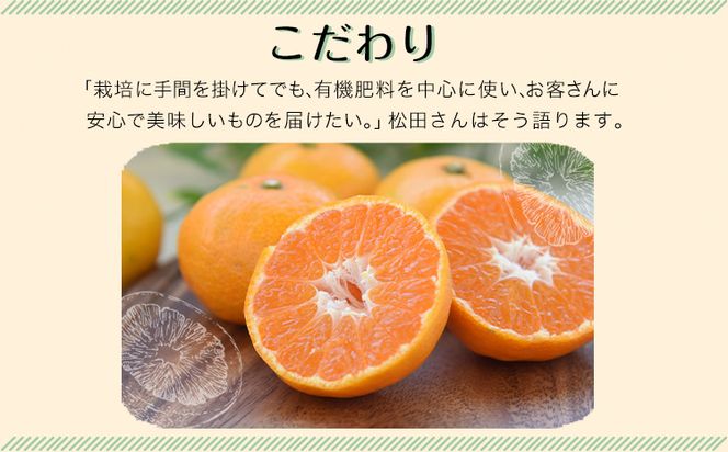 みかん ご家庭用『松田農園』ご家庭用みかん 約5kg(S-2Lサイズ) たっぷり 【日付指定不可】 予約受付中 フルーツ 秋 旬 約5kg 熊本県玉名郡玉東町『松田農園』 こだわり ミカン！ちょこっと 訳あり《10月中旬-12月下旬頃出荷》---gkt_mtd_5_5kg---