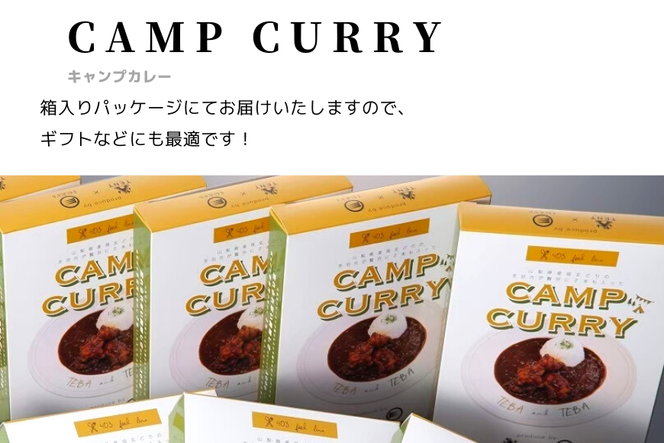 【キャンプカレー】大容量300gのレトルトカレー10食セット！ 166-007