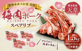 （飼育期間中）完全無薬！ 梅肉エキス肥育 熊本県産 天草梅肉ポーク スペアリブ 1.5kg 500g×3パック 12本前後 肉 お肉 豚肉 豚 冷凍 熊本県 上天草市