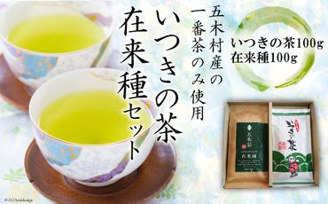 お茶 いつきの茶・在来種セット / 松井製茶工場 / 熊本県 五木村 [51120010] 緑茶 一番茶 熊本県 特産