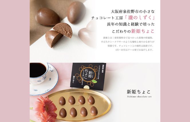 005A546 新姫(にいひめ)チョコレート 2箱セット  瀧のしずく