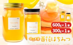 はちみつ 蜂蜜 百花 300g×1本 600g×1本 計2本 かもがた養蜂 《30日以内に出荷予定(土日祝除く)》 岡山県 浅口市 送料無料 ハチミツ 百花蜜 百花はちみつ 岡山県産---124_359_30d_23_15000_1---