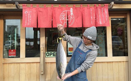 フライパン焼きできる高級魚ブリの干物・魚津伝承の味「汐ぶり」 富山 魚津 鰤 汐ブリ ハマオカ海の幸