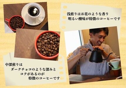 [注文後に焙煎] 自家焙煎コーヒードリップバッグ中深、浅煎り 30個飲み比べ｜珈琲 焙煎 ドリップコーヒー 