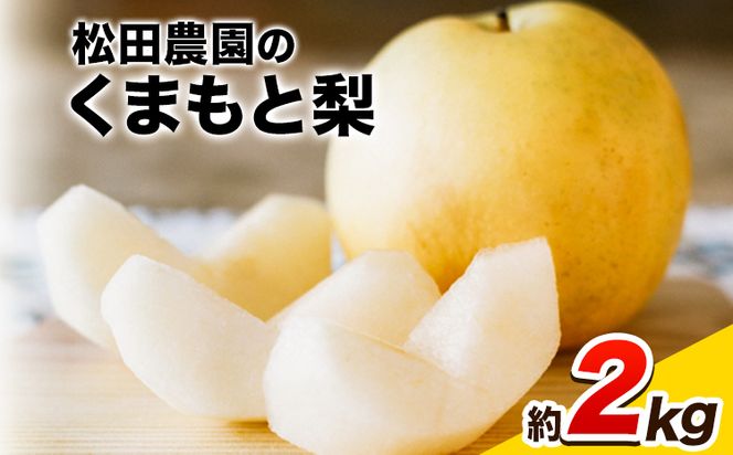 �y�F�{���ʓ����z�y��s�\��z�H �{ �� ���Ԍ��� �y���t�w��s�z�� �w���c�_���x�� ���܂��� �� �����Ղ� ��2kg 5-7�ʑO�� �\�� ��t�� �F�{���ʖ��S�ʓ����w���c�_���x�Ȃ� �ʕ� �X�C�[�c �t���[�c �f�U�[�g �X���[�W�[ �s7�����{-9�������o�ׁt SDG`s---sg_cmtdnasi_cf79_