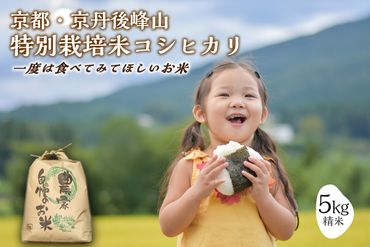 2023年産 京都・京丹後峰山 特別栽培米コシヒカリ　5kg 1等米 検査済証付　MF00009