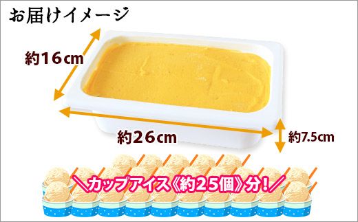 611.アイスクリーム かぼちゃ カボチャ ジェラート 業務用 2リットル 2L アイス 大容量  手作り 北海道 弟子屈町