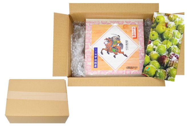 塩分11％】しそ風味 干し小梅 600g×1 [山梨農産食品 山梨県 韮崎