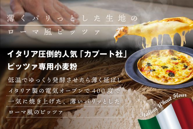 【定期便】北海道別海町チーズを使ったピザ ６枚セット×６ヵ月(be059-0690-100-6) 