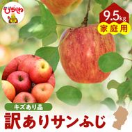 【令和6年産 先行予約】※訳あり※ サンふじ満杯詰(約9.5kg) 東根市 山形県 東根農産センター提供 hi027-131