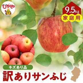 【令和6年産 先行予約】※訳あり※ サンふじ満杯詰(約9.5kg) 東根市 山形県 東根農産センター提供 hi027-131