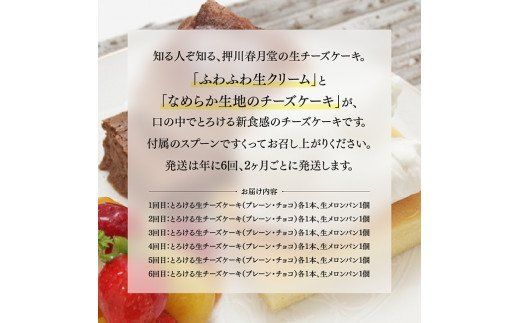 【定期便6回コース】とろける生チーズケーキ（プレーン・チョコ）+メロンパン [G2703]