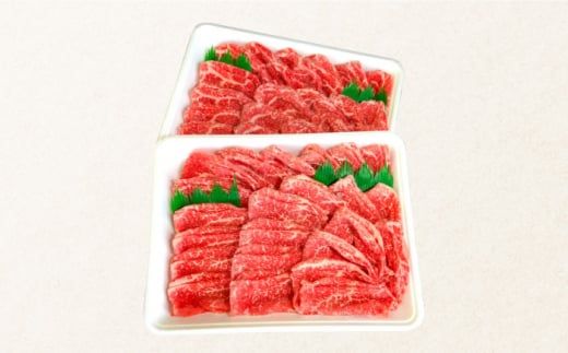 【12回定期便】長崎和牛 もも肉 800g / 南島原市 / はなぶさ [SCN081]