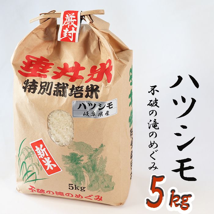AL-2b 特別栽培米 垂井町産 ハツシモ 5kg