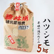 AL-2b 特別栽培米 垂井町産 ハツシモ 5kg