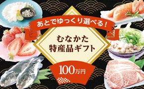 あとでゆっくり選べる！むなかた特産品100万円コース_HY0100