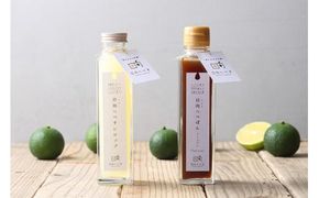 日向へべぽん&日向へべすシロップセット(各1本) [K&Co. 宮崎県 日向市 452060080]