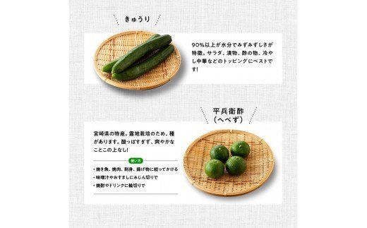 野菜 産直 おすず村 厳選詰め合わせセット（大）【 旬野菜 フルーツ 直売所 産地直送 宮崎県産 】☆[G3803]