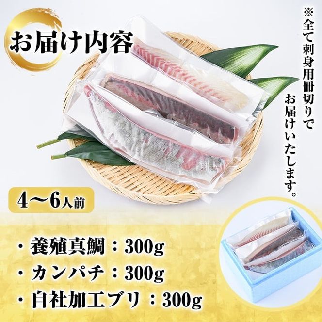 厳選お刺身BOX(4～6人前) 国産 お刺身 魚貝 魚介 鯛 カンパチ ブリ 海産物 刺身 おつまみ セット 【さるがく水産】akn028-16