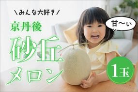 【先行予約】メロン産地から直送！濃厚な甘み／みんな大好き甘～ぃ！京丹後砂丘めろん！ 1玉（2026年7月下旬～発送）メロン1玉　YK00529