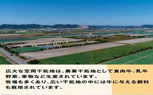 B-08 瀬戸の姫（スライス）《45日以内に出荷予定(土日祝除く)》
