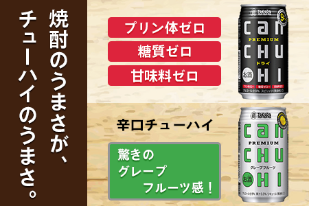 ＜タカラcanチューハイ「ドライ」「グレープフルーツ」350ml×各24本(合計48本)＞翌月末迄に順次出荷【c783_is_x1】