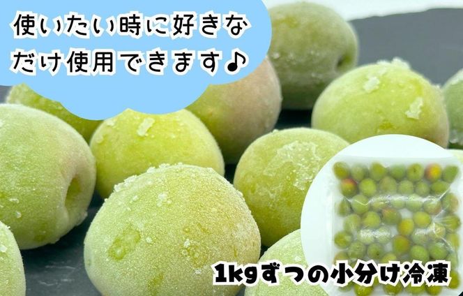【2026年7月上旬～出荷予定】梅 冷凍 青梅 南高梅 3kg ( 1kg × 3袋 ) 秀品 2L or Lサイズ 和歌山県産 紀州有田  【みかんの会】 AX281