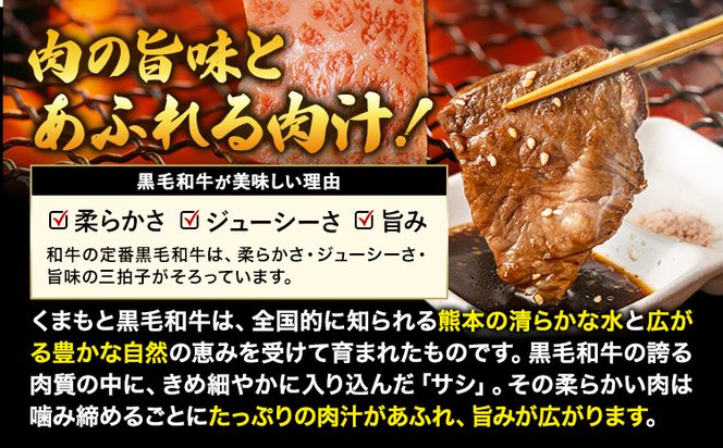 くまもと黒毛和牛 サーロイン リブロース 内モモ 希少部位 500g 牛肉 焼肉用 冷凍 《2026年1月中旬-3月末頃出荷》 くまもと黒毛和牛 黒毛和牛 焼肉 肉 お肉 熊本県 大津町---oz_fkgsrumky_bc13_r7_12000_500g---