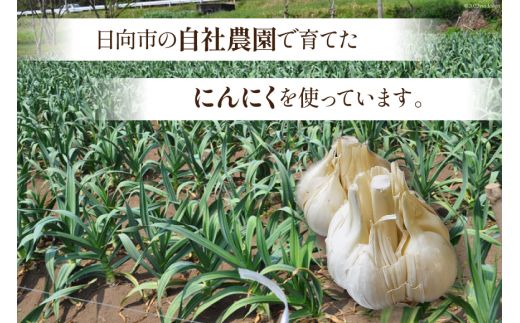 サプリメント にんにく卵黄 純力サプリメント 35粒×4袋 (約4か月分) [食匠倶楽部MIYAZAKI 宮崎県 日向市 452061457] サプリ カプセル 国産