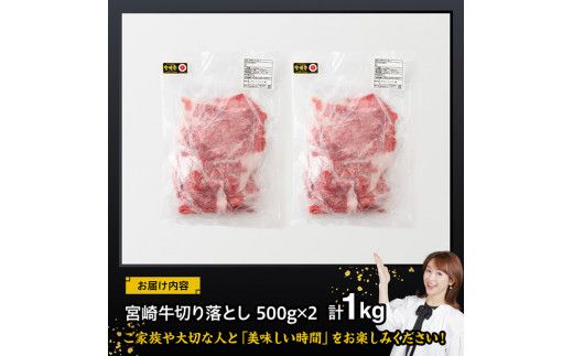 宮崎 牛切り落とし 1kg【 肉 牛肉 国産 宮崎県産 黒毛和牛 和牛 切り落とし 】[D11419]