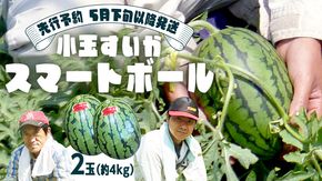 【 先行予約 2027年5月下旬 以降発送 】 小玉 すいか スマートボール 2玉 約 4kg スイカ 西瓜 フルーツ 果物 旬 ふるさと納税 10000円 八千代町 茨城 [CR002ya]