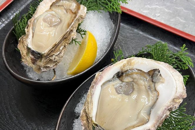 【先行予約】京都・京丹後産　鮮度抜群！濃厚肉厚岩牡蠣（生食用）約5kg（約10個）（殻付き・かんかん入り・冷蔵・ナイフ付き） AH00018