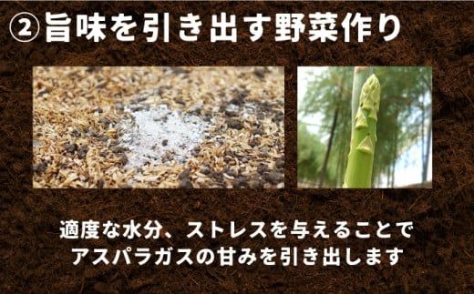 【2027年8月～発送】【生で食べられる】スイート アスパラ L～3L 約 1kg 増田農園 アスパラガス 甘い / 南島原市 / 贅沢宝庫 [SDZ015] 