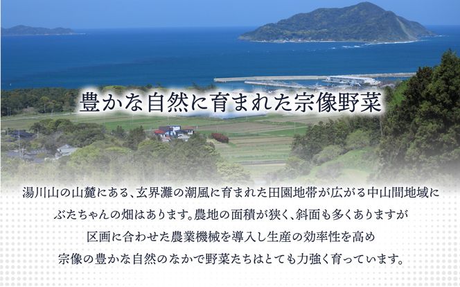 【定期便/年12回/毎月お届け】有機JAS認証 旬の野菜セット 8品【ぶたちゃんの畑】_HB0162