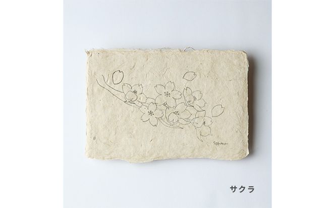 【奏華舎】土佐和紙カード＆染紙封筒セット（ボタニカル / アソート３種）