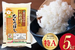 米 令和6年 JA新すながわ産 特栽米 ななつぼし 5kg [ホクレン商事 北海道 砂川市 12260669]