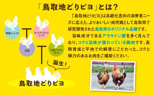 1169 鳥取地鶏使用キーマカレー 5個セット