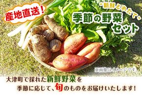 熊本県大津町産 季節の野菜セット(6～8種類)《60日以内に出荷予定(土日祝除く)》野菜 冷蔵 JA菊池 大津中央支所 とれたて市場---oz_jak_1_8i---