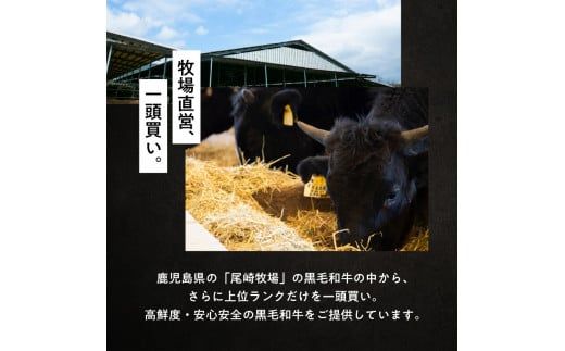 鹿児島黒毛和牛カレー×4食分　K130-006
